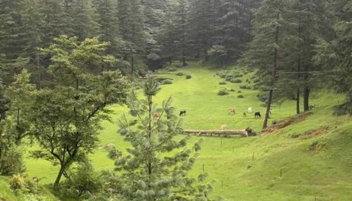 George Everest View