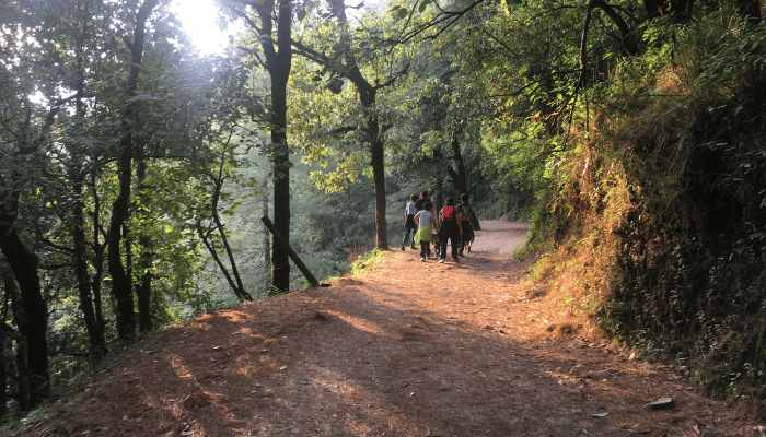 Nature walk